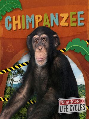 cover image of Chimpanzee